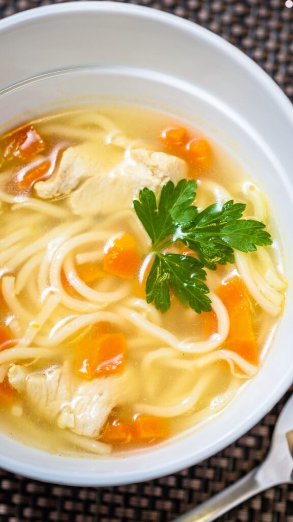 Chicken Noodle Soup In Soup Maker​