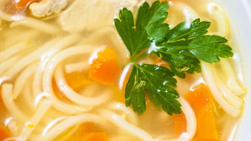 Chicken Noodle Soup In Soup Maker​